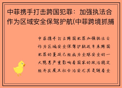 中菲携手打击跨国犯罪：加强执法合作为区域安全保驾护航(中菲跨境抓捕)